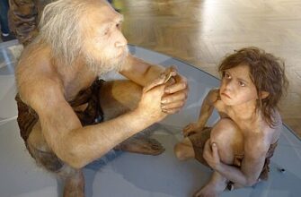 Чем неандертальцы отличались от современных людей?